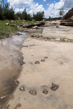 Subeng Dinosaur Footprints, Lesotho