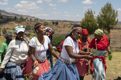 Women dancing in initiation ceremony, Lesotho