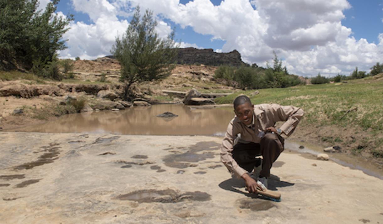 Subeng River Dinosaur Footprints