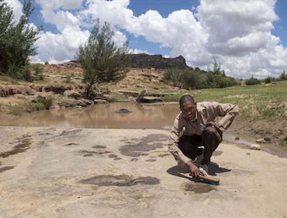 Subeng River Dinosaur Footprints